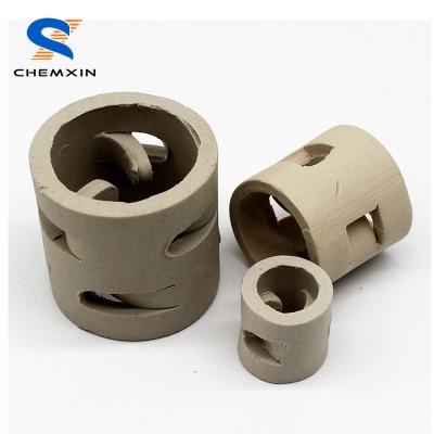 50mm Ceramic pall rings tower packing for distillation column packing